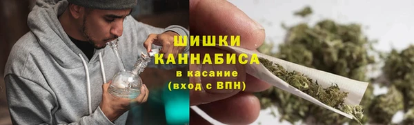 трава Покачи