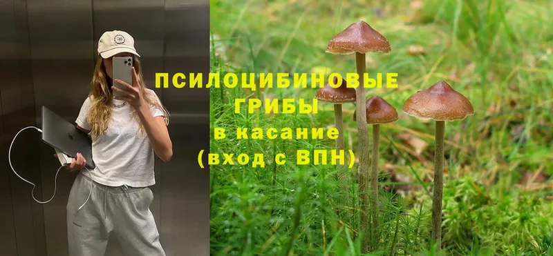 Галлюциногенные грибы MAGIC MUSHROOMS  как найти   Костерёво 