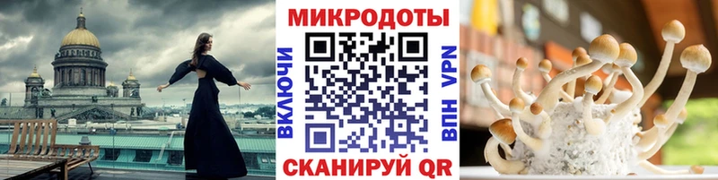 Галлюциногенные грибы Magic Shrooms  кракен рабочий сайт  Костерёво 